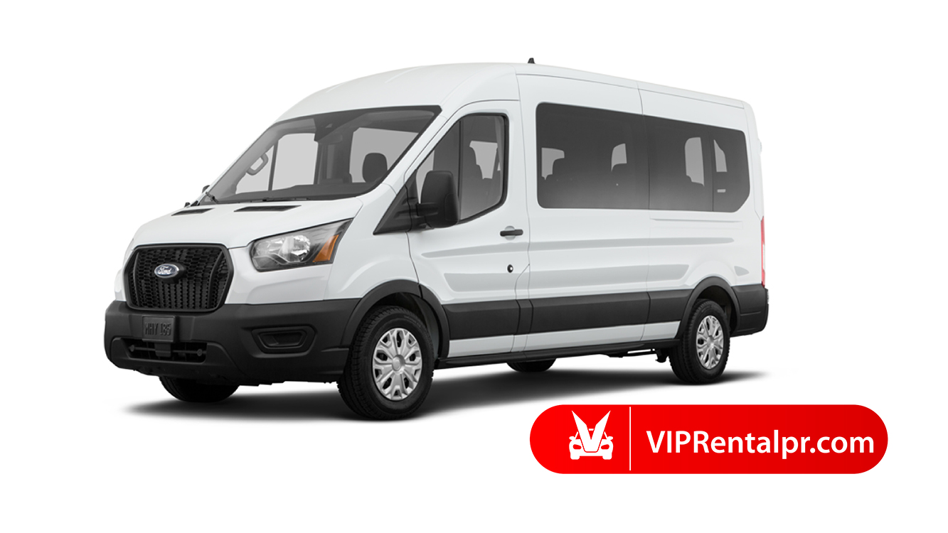 Family Ford T350 15 Passenger